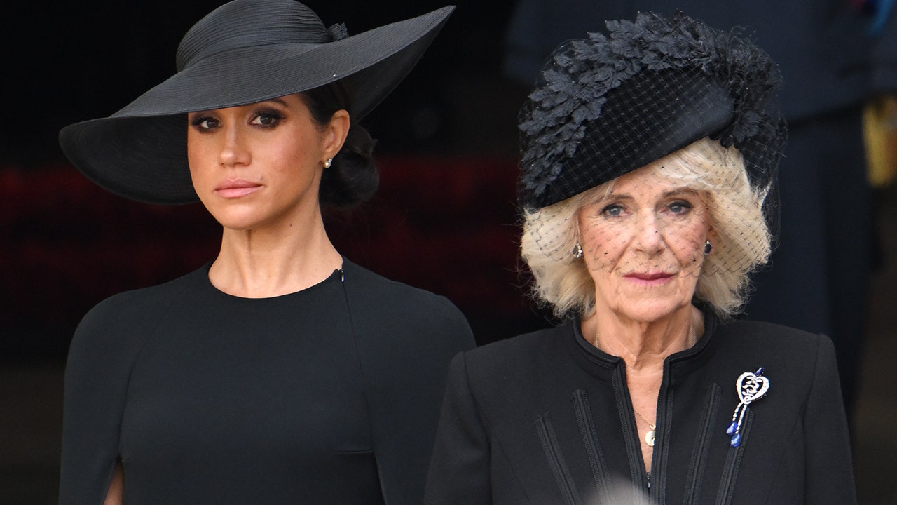 Meghan Markle ‘seemed bored’ with Queen Consort Camilla’s advice after joining royal family, author claims