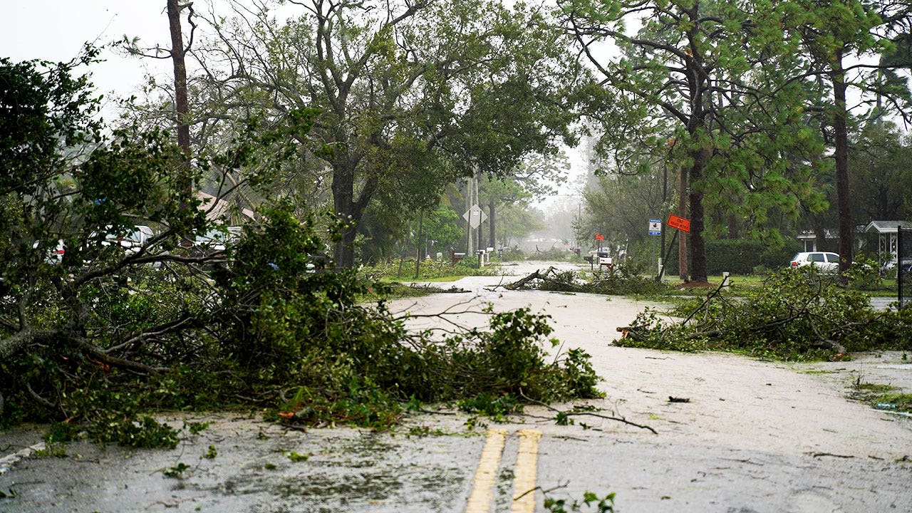 Hurricane Ian may have caused $2M in damage, tree nursery owner ...