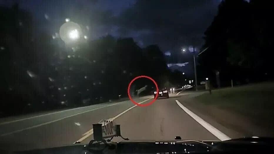 Michigan State Police dashcam captures deer leaping over car