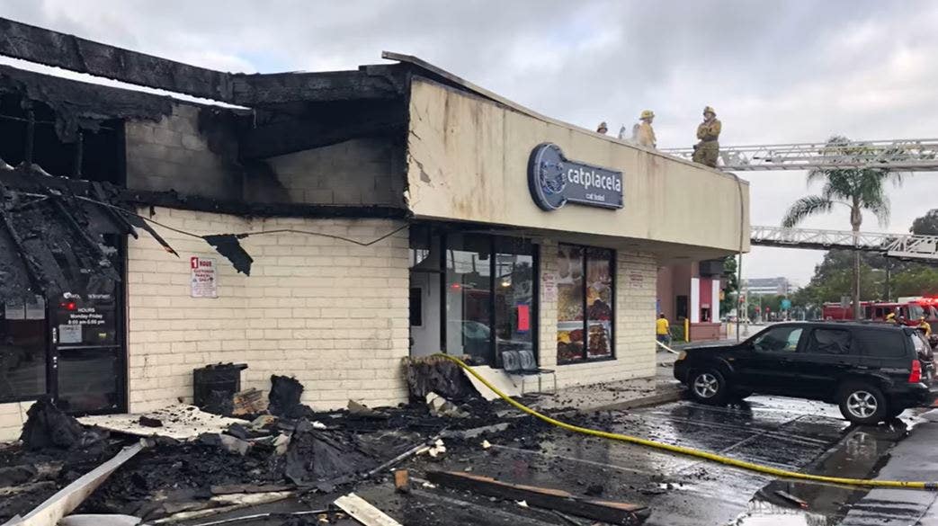 News :Firefighter injured, 17 cats killed in massive blaze at California strip mall