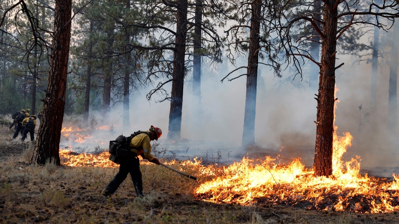 California wildfire sets homes ablaze, forces evacuations