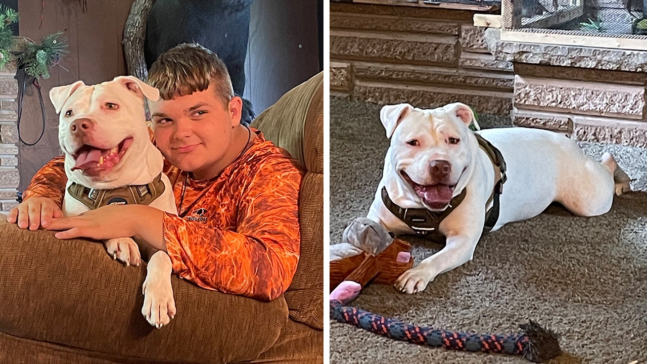 Walker Cousineau, 14, adopted Dave, a deaf pit bull. Walker has been experiencing hearing loss since he was 10 years old. (Mindy Cousineau)
