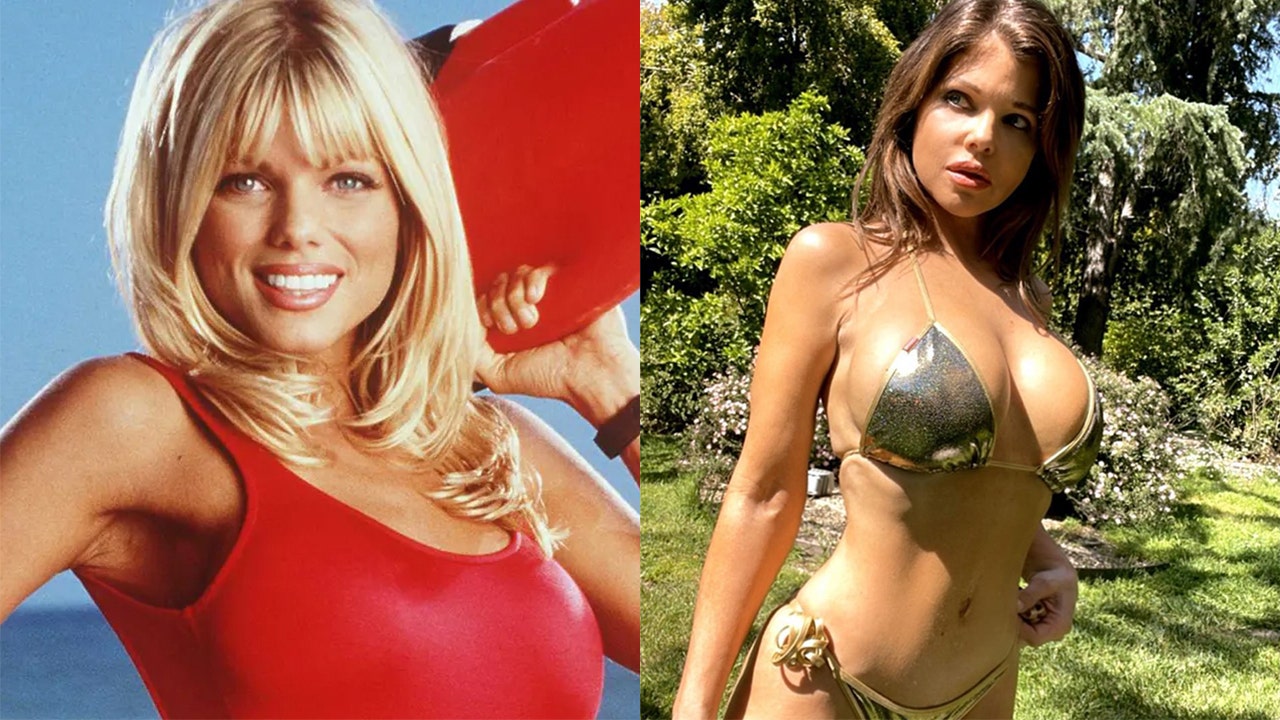 Baywatch' star Donna D'Errico poses in a gold bikini after being