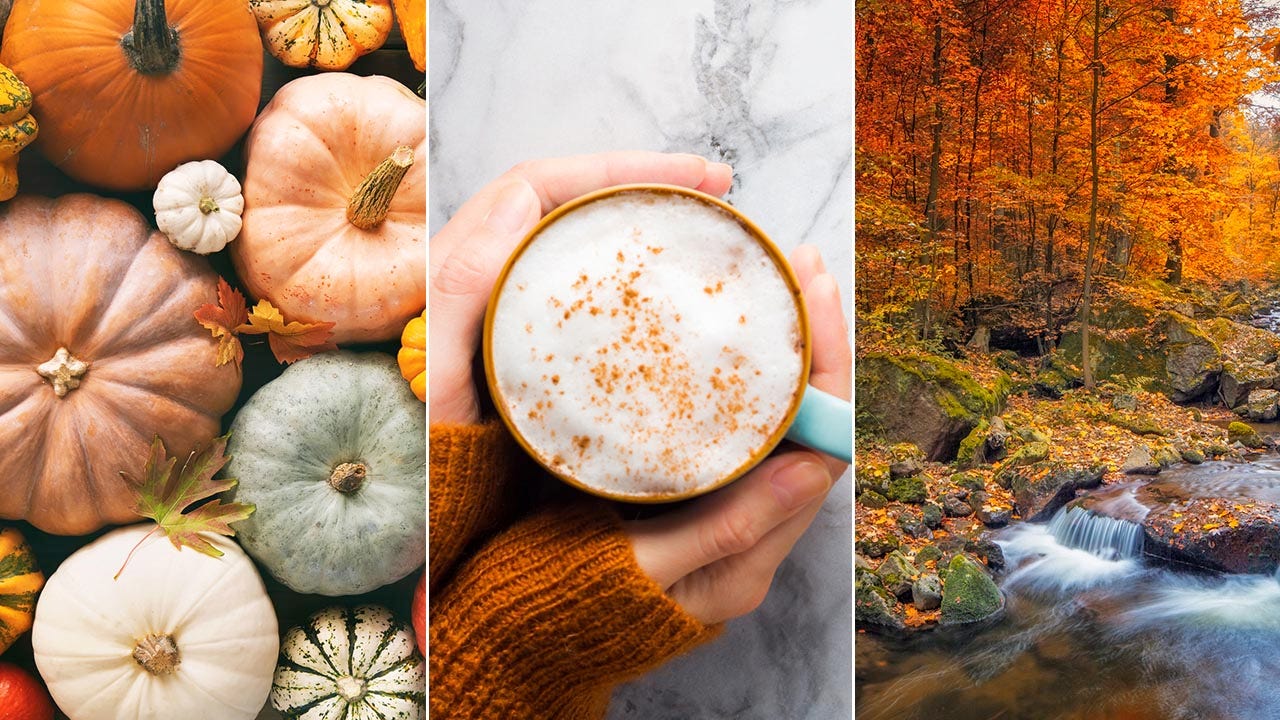 Fall quiz! How well do you know facts about the fall season? (iStock)