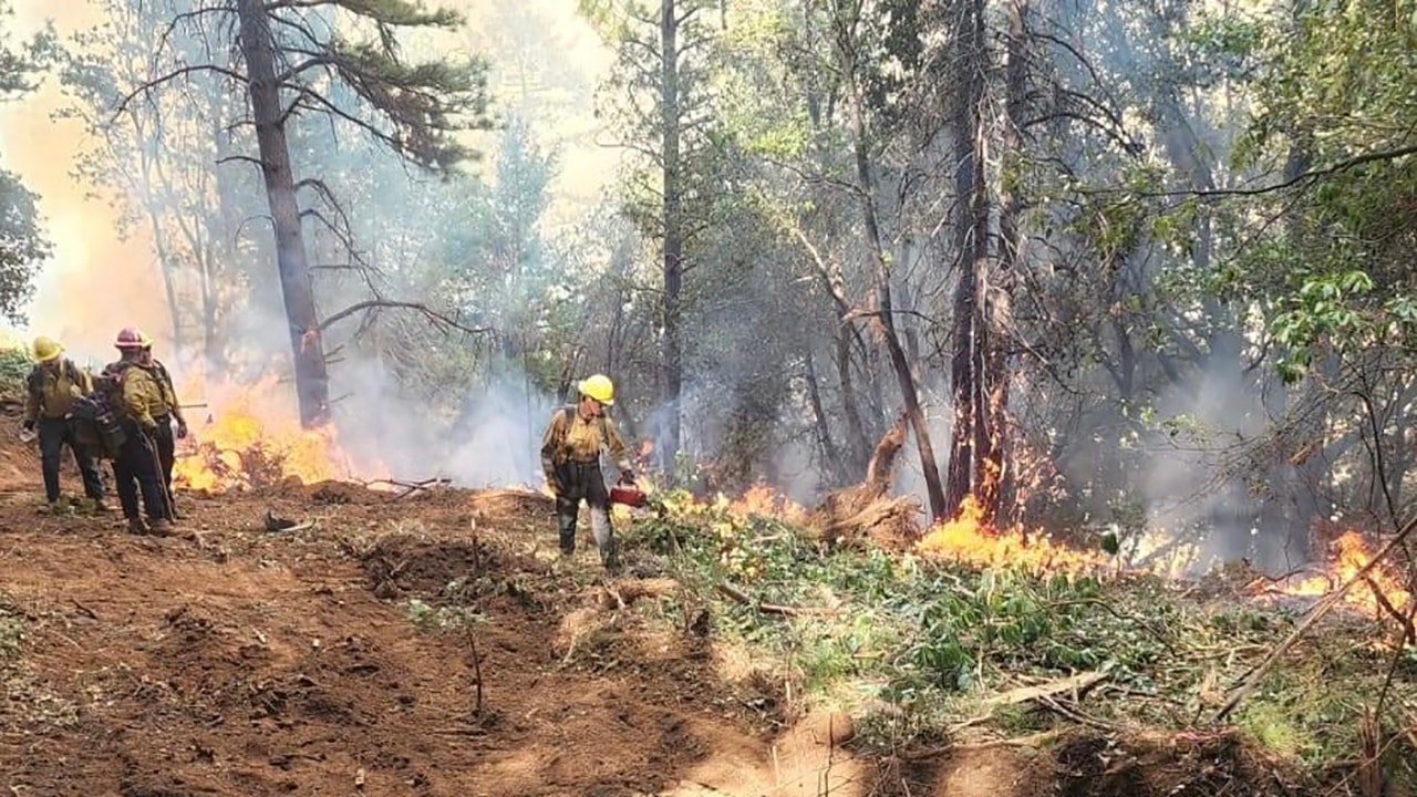 News :California’s Mosquito Fire burns over 73,000 acres, growth may slow with expected rainfall