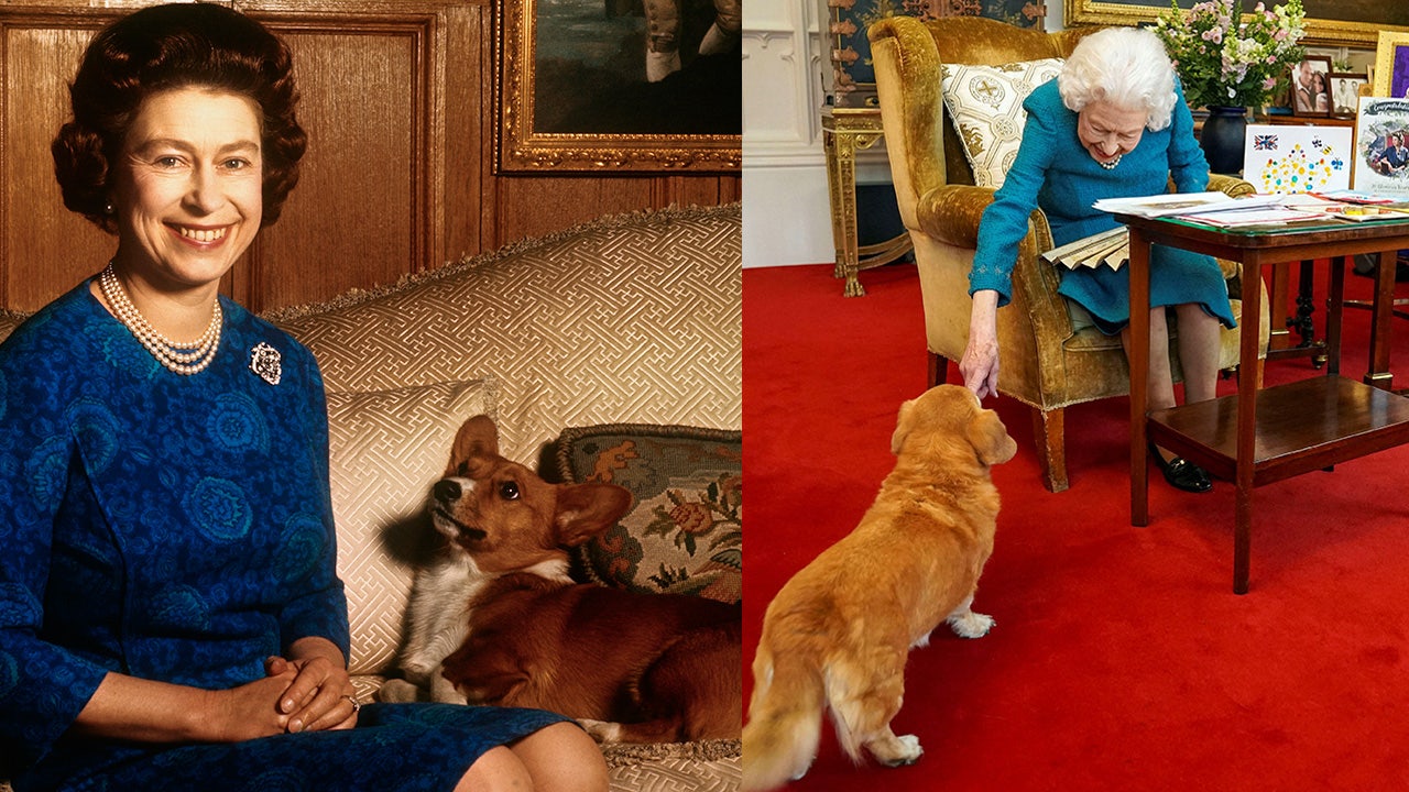 Queen Elizabeth II's corgis will be cared for by Prince Andrew and ...