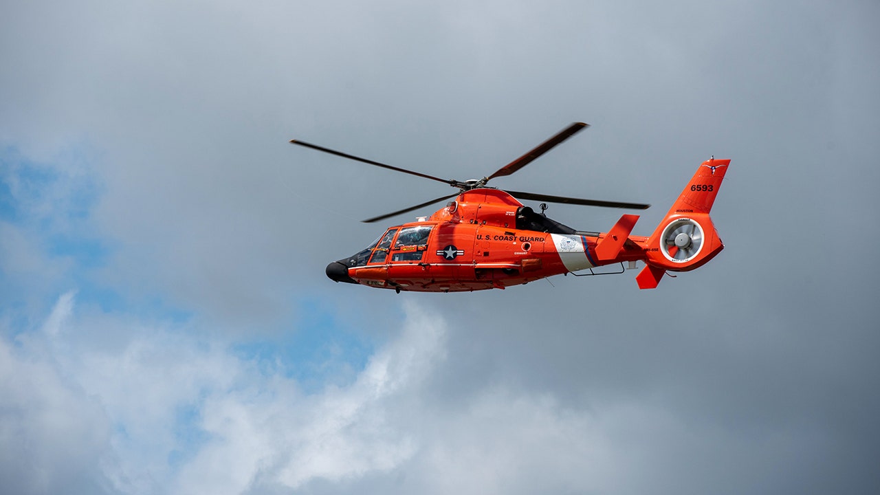 US Coast Guard searching for 4 people after helicopter crashes into Gulf of Mexico off Louisiana coast