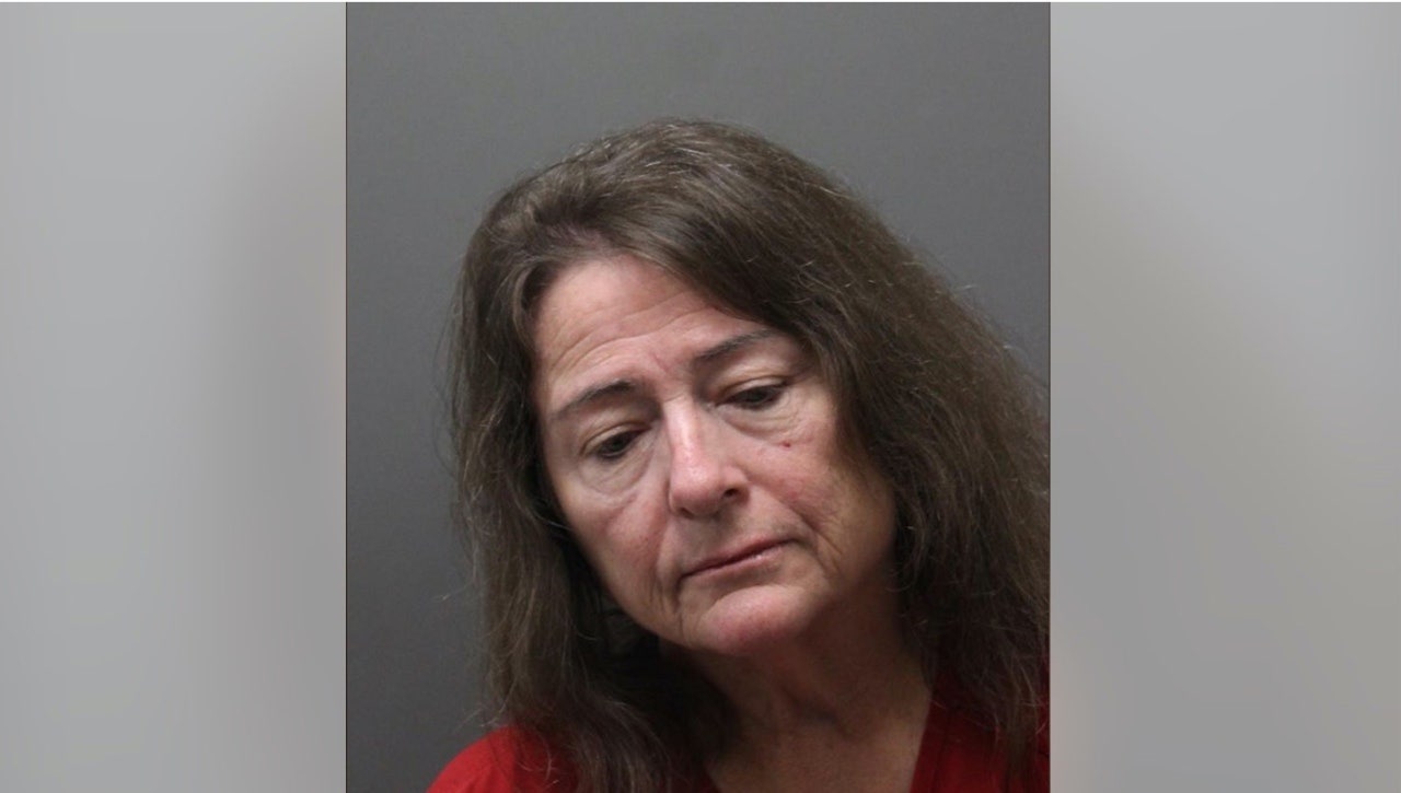 Loudoun County Bathroom Assault Mom