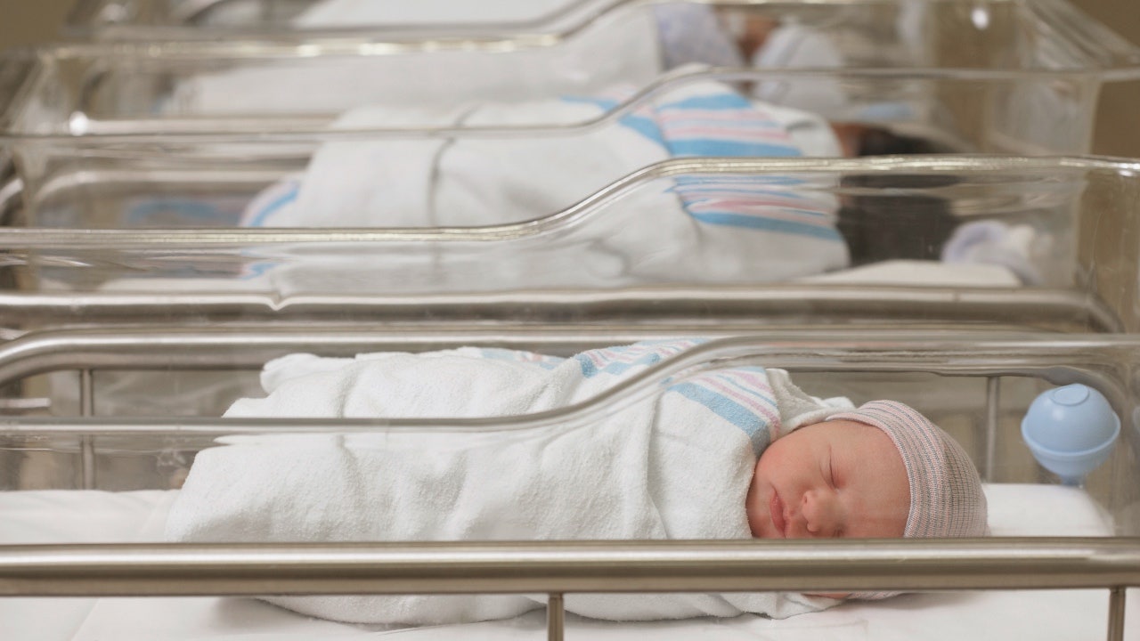 The American birth rate is plummeting, but not in some states