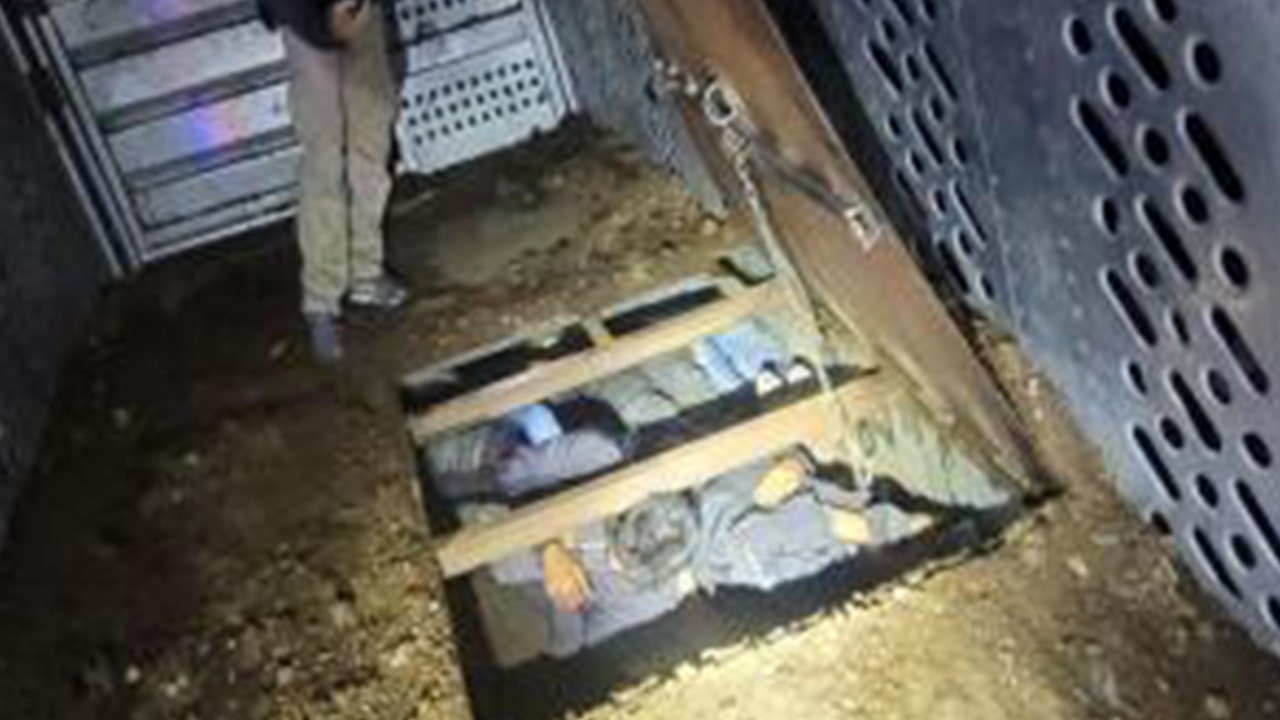 Arizona Border Patrol agents discover 9 illegal immigrants hiding inside the cattle car
