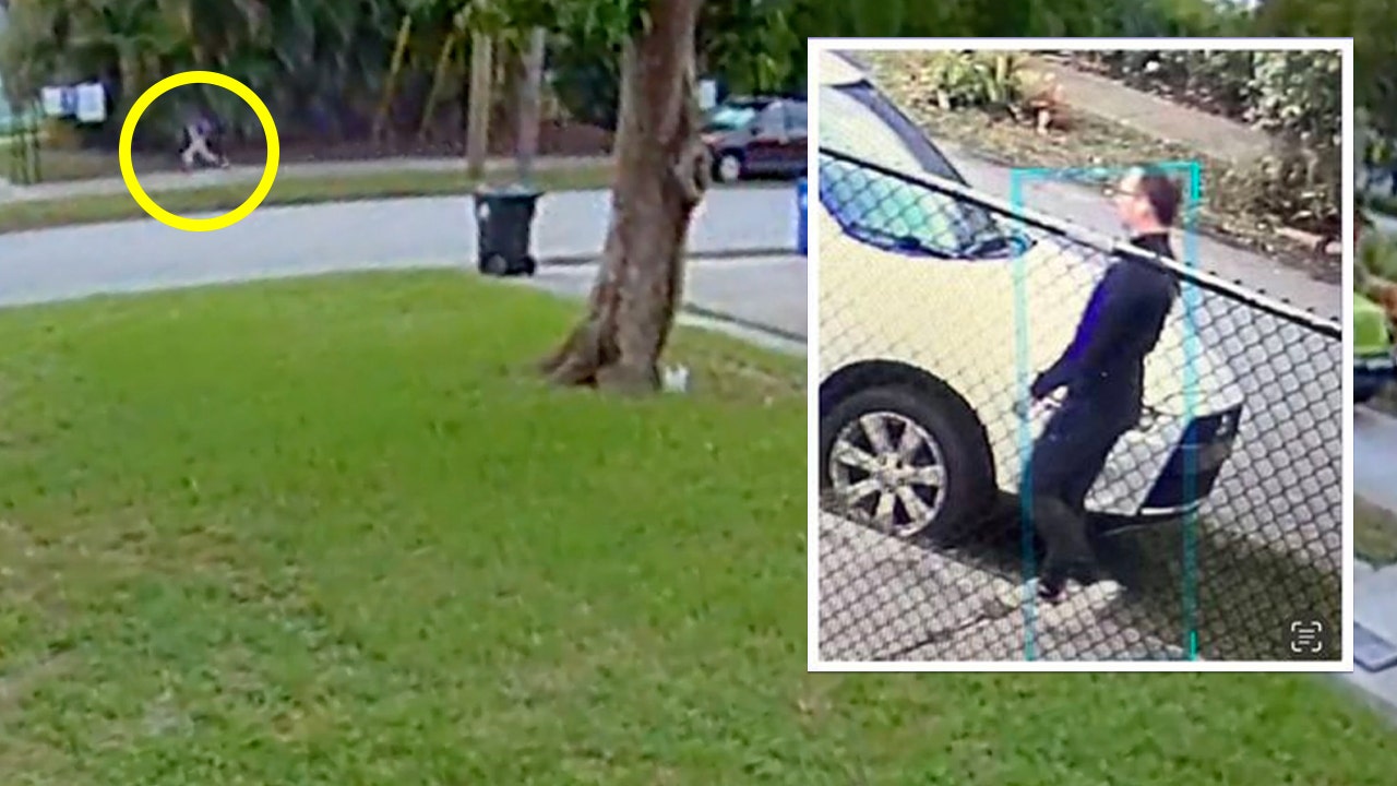 Florida 10-year-old girl escapes attempted kidnapper twice in two days, and there's video, police say