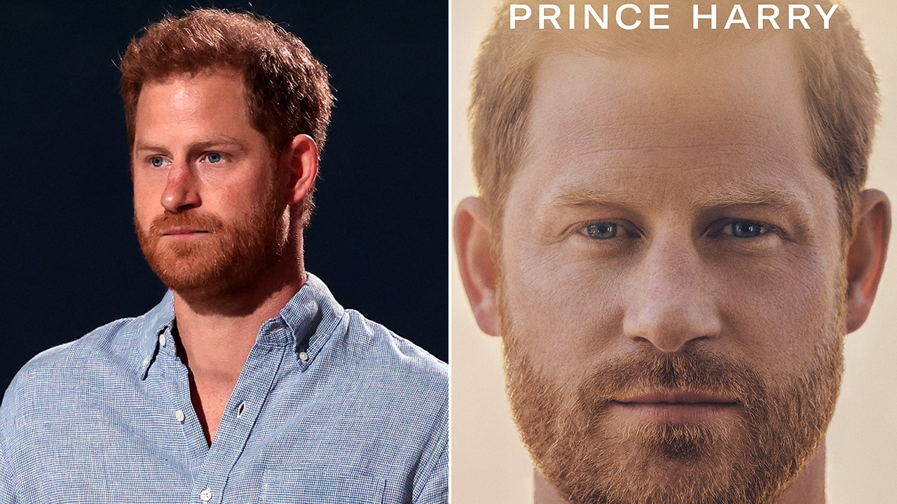 prince harry spare review