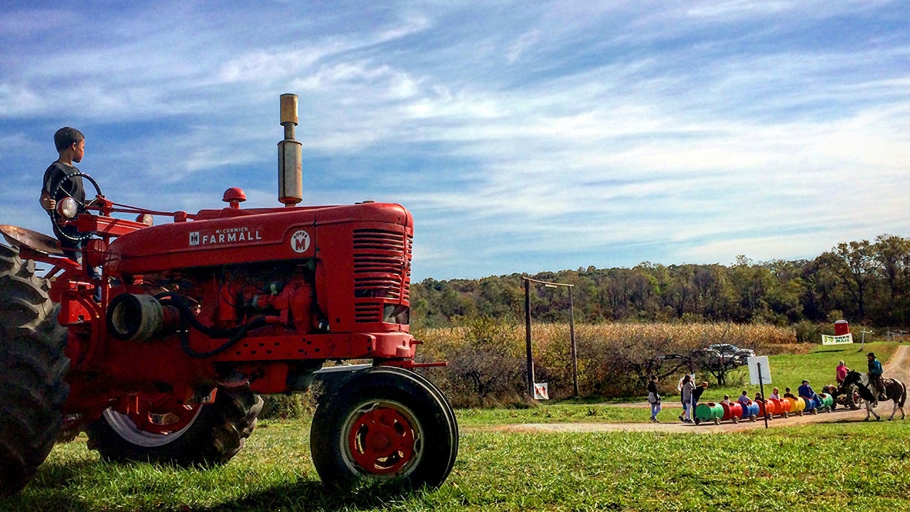 America recruited us to open a farm, then made us self-deport