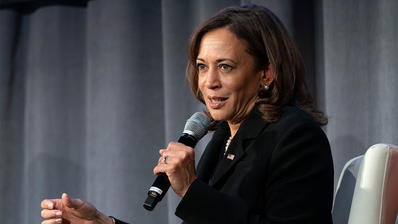 Energy experts bash Kamala Harris over dubious energy price claim