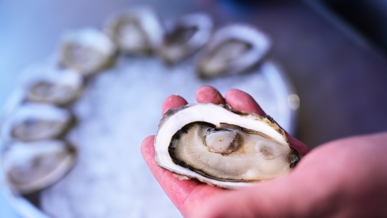 How To Tell If An Oysters Has Gone Bad?