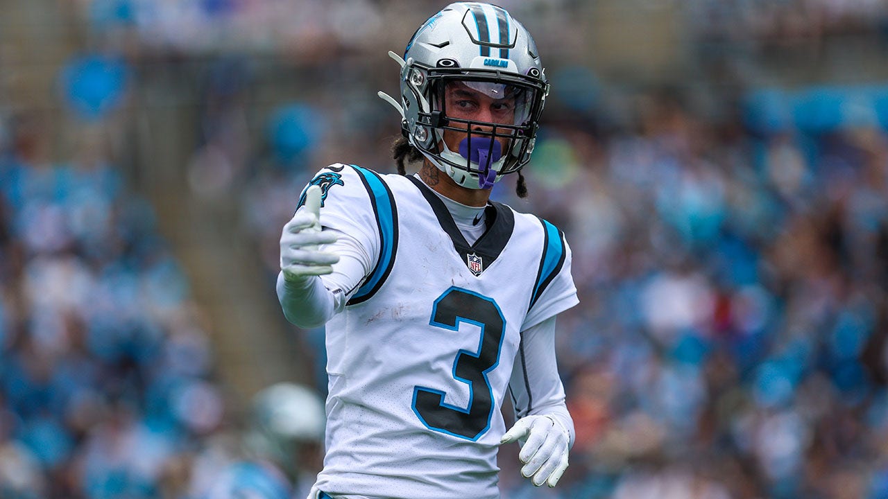 Carolina Panthers Robbie Anderson Kicked Out of Game by His Own Team