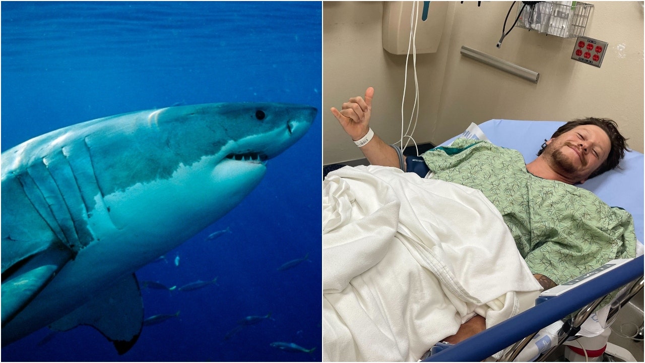 California man attacked by great white shark recounts terrifying moment: 'My worst fear'