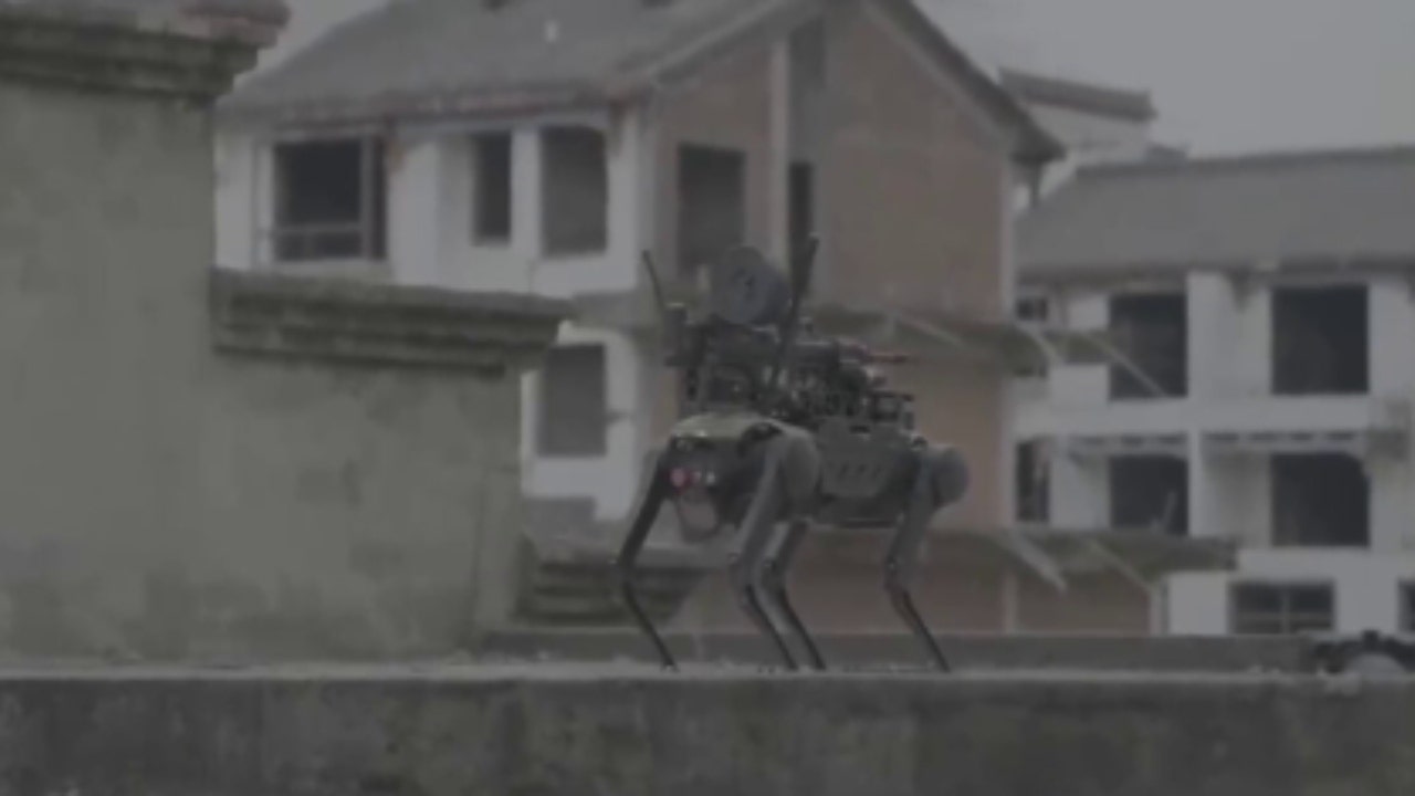 Shocking video shows Chinese robot attack dog with machine gun dropped by drone