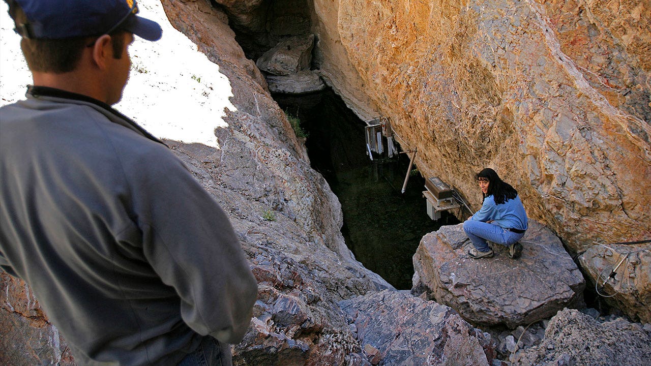 Rare fish species that live in a single NV desert cavern rebound to highest numbers in 19 years