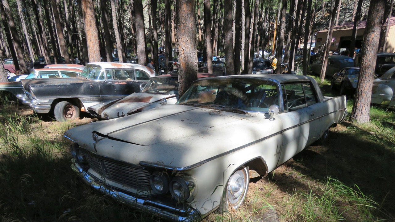 South Dakota gorge full of dozens of classic cars is one man's