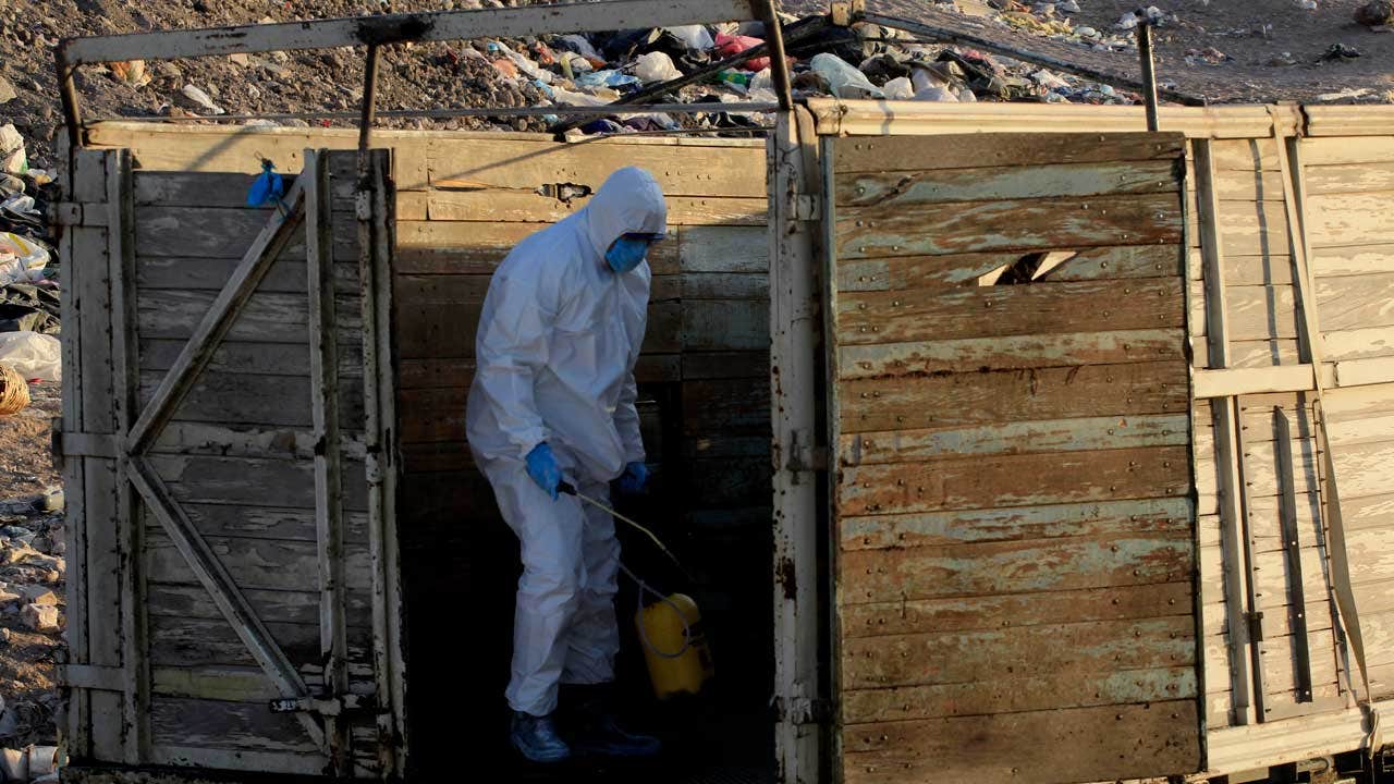 Mexico reports its first H5N1 bird flu infection