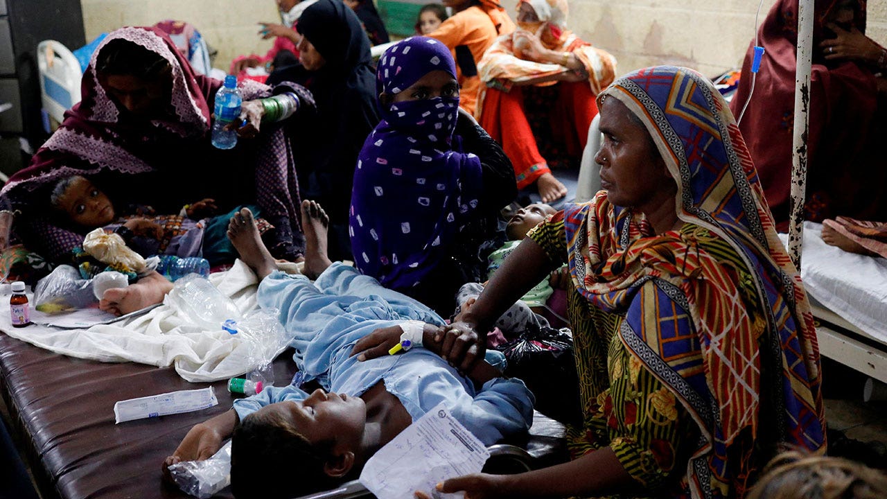 Pakistan hospital overwhelmed as flood-borne illnesses spread