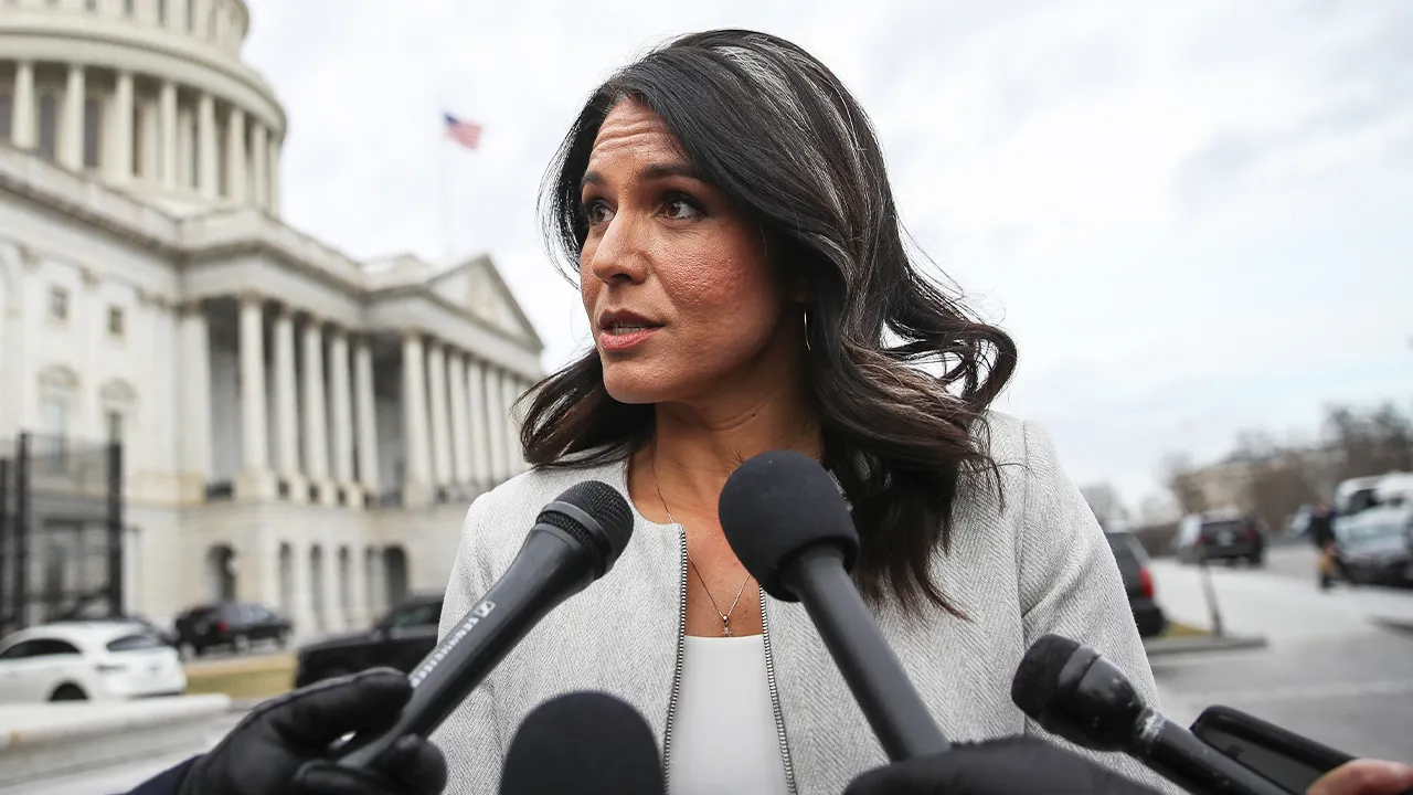 Tulsi Gabbard Says Democratic Leaders Foment A Culture Of Fear To Keep People In Line Fox News