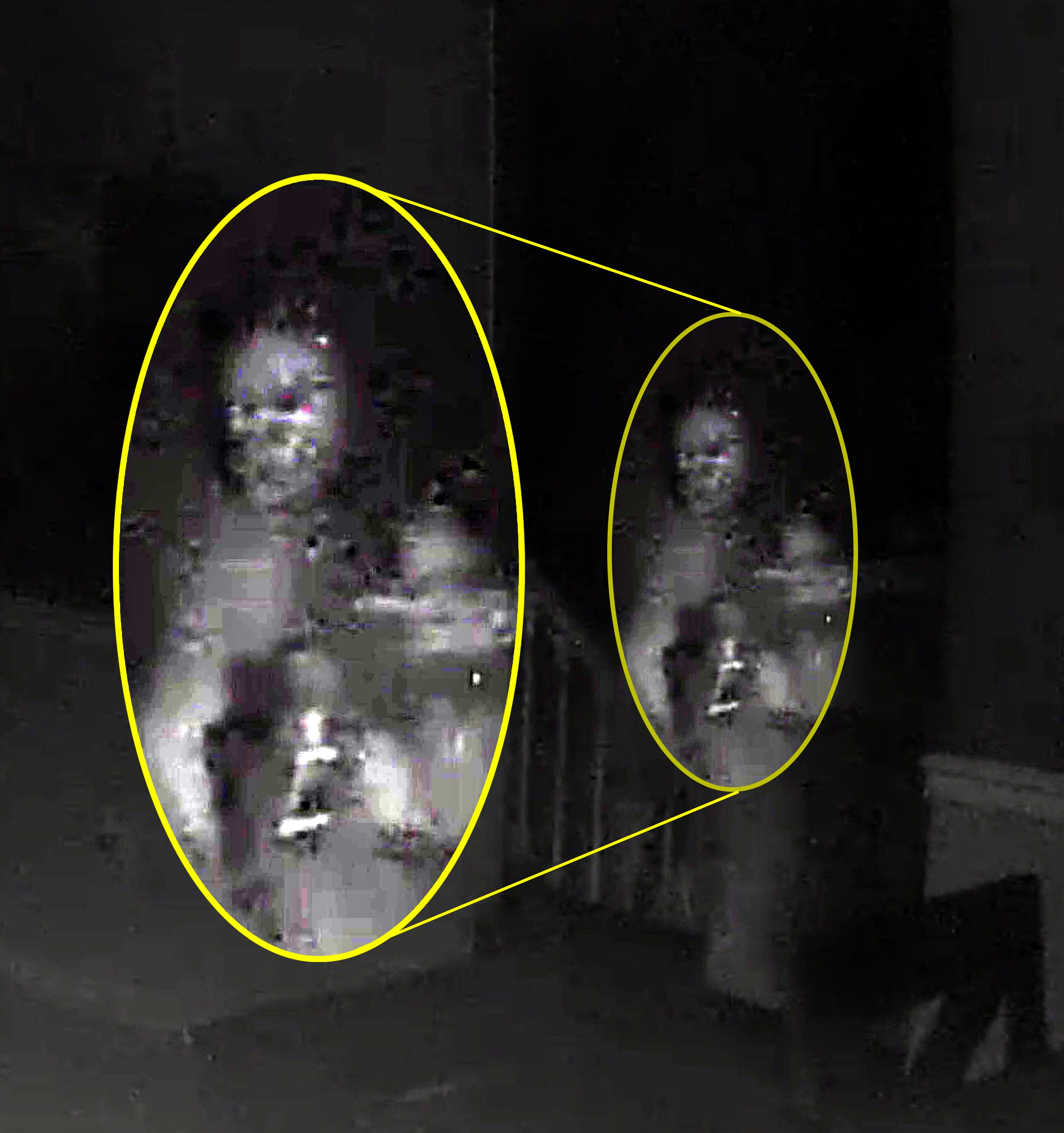 SEE THE PIC: Pennsylvania mom 'too scared to sleep' after seeing ghostly figure on security camera