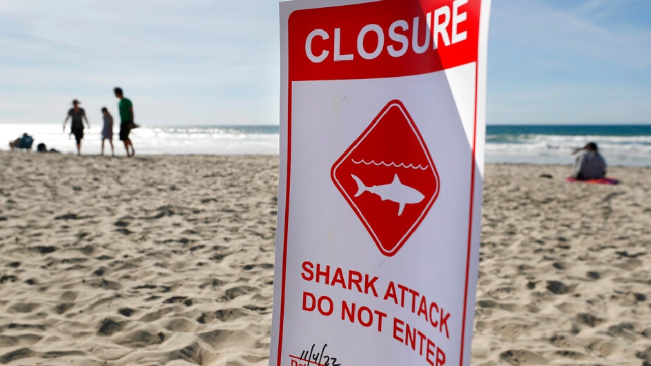 California woman describes shark attack: 'I saw it clamp on my leg'