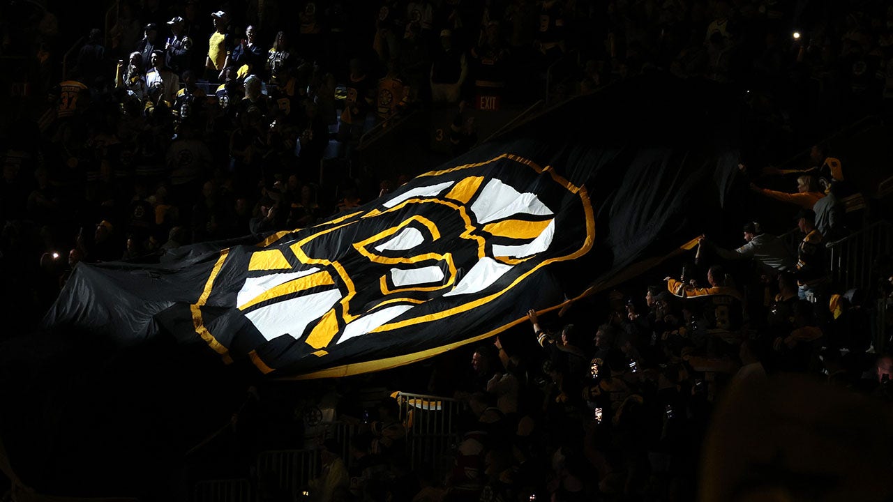 The Bruins flag