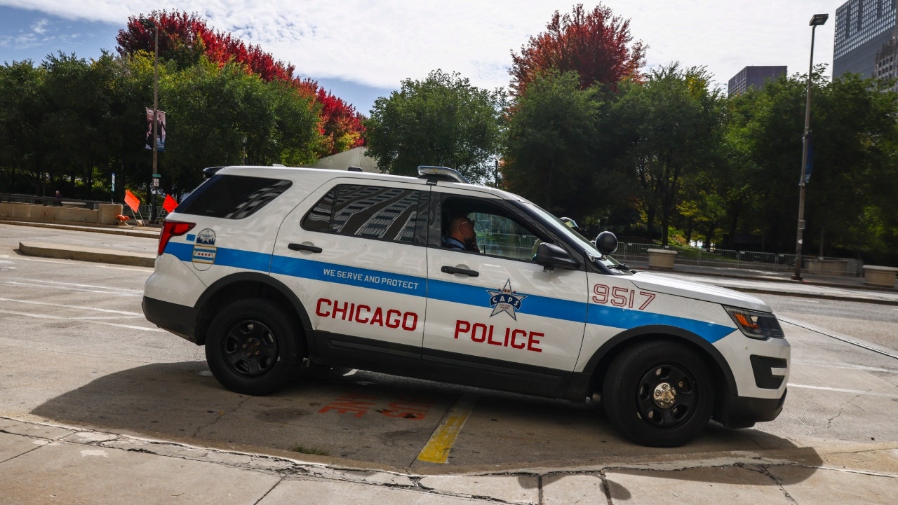 Chicago woman with concealed carry license foils attempted carjacking by shooting man in head