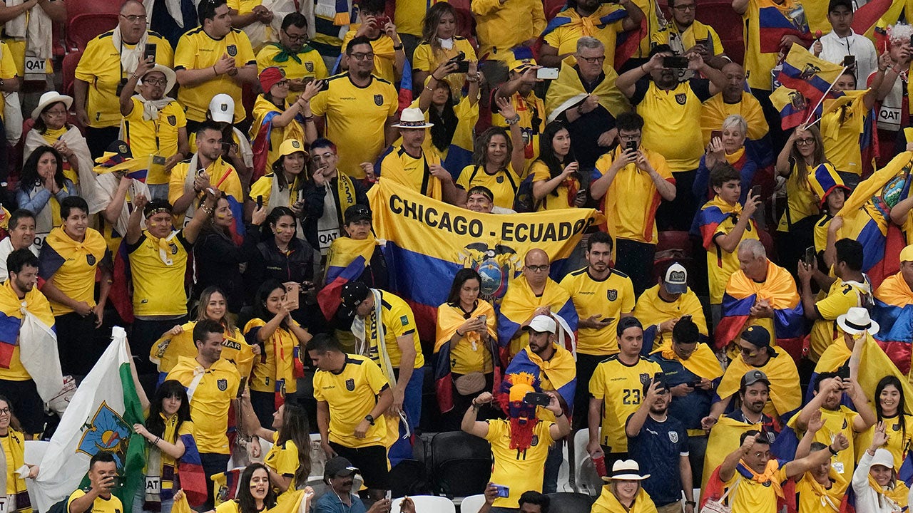 ecuador world cup 2022 jersey