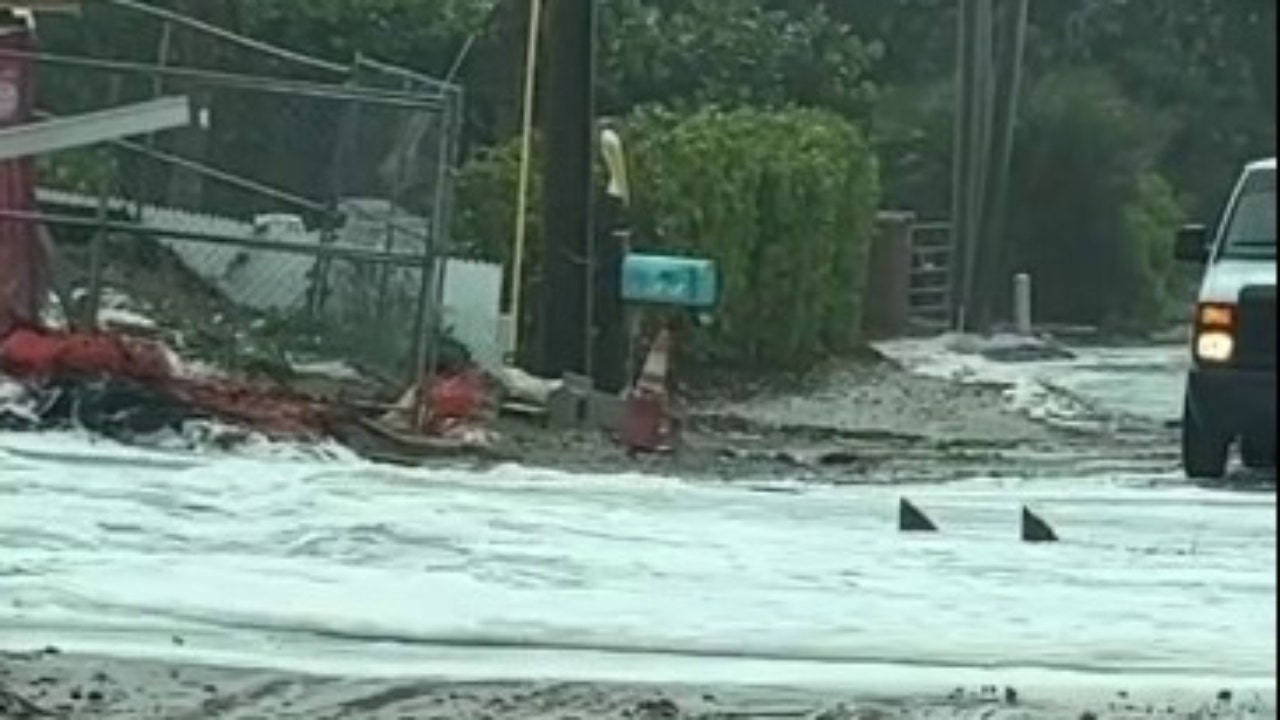News :Ahead of Nicole, Florida man captures video of fin shapes in floodwaters