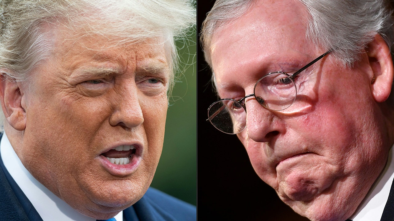 Trump scolds Mitch McConnell as GOP Senate majority becomes unlikely after Democrats keep crucial Arizona seat