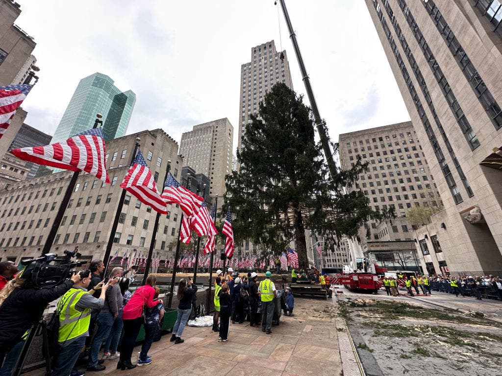 Iconic Rockefeller Center Christmas tree arrives in NYC: 'It's a special tree'