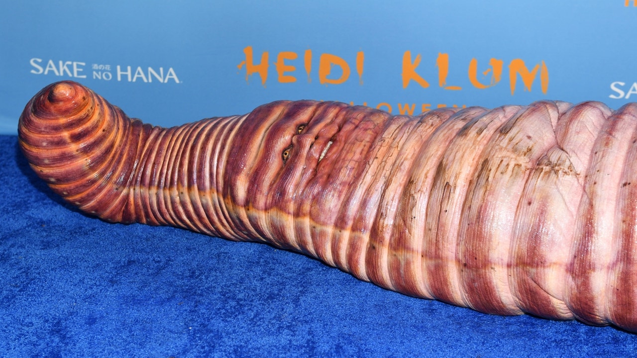Heidi Klum unrecognizable in elaborate giant worm costume at her New York City Halloween bash
