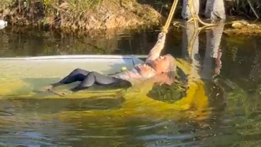 Paraglider helps rescue woman trapped in submerged car in South Florida canal: video
