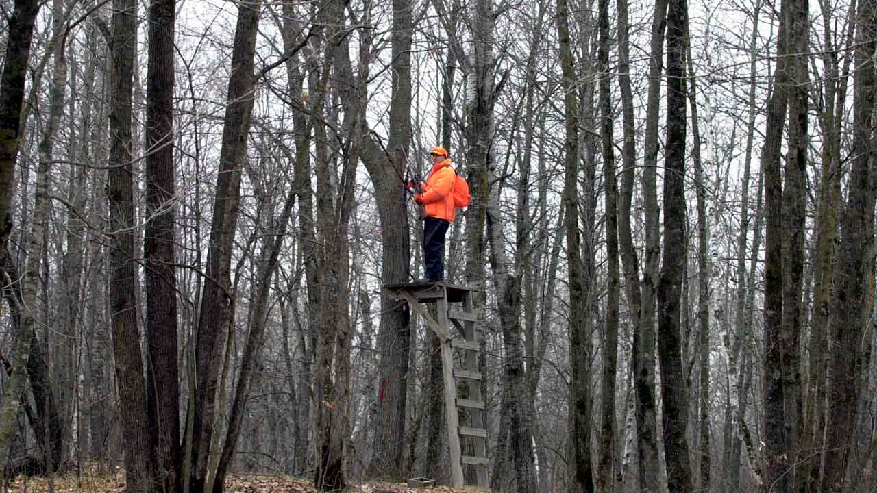 Cold weather, snowy conditions expected ahead of Wisconsin's annual 9-day gun deer season