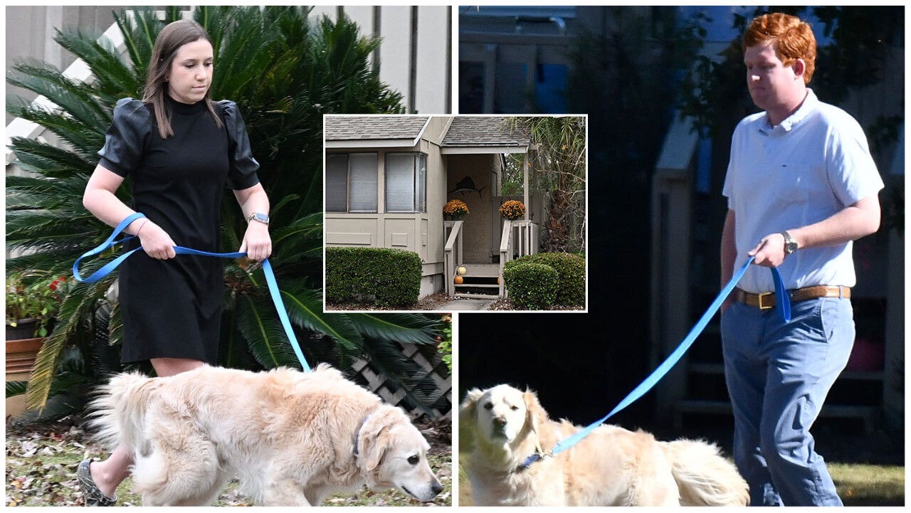 Buster Murdaugh looks strained as he breaks cover to walk his dogs