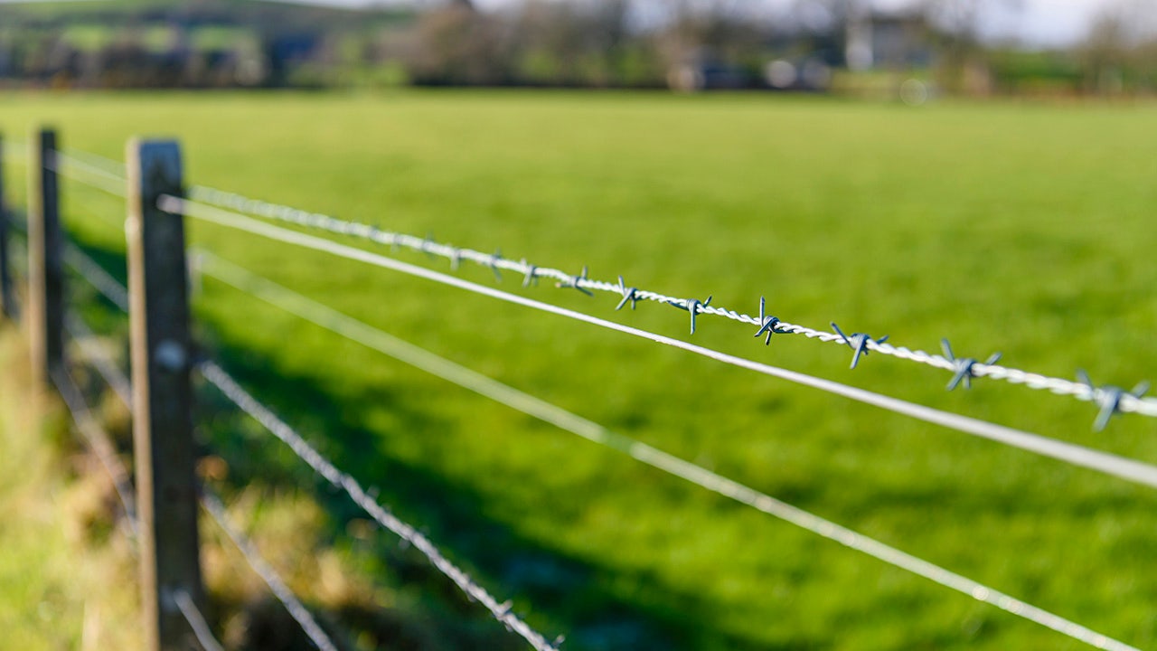 On this day in history, November 24, 1874, the first commercially successful barbed wire is patented