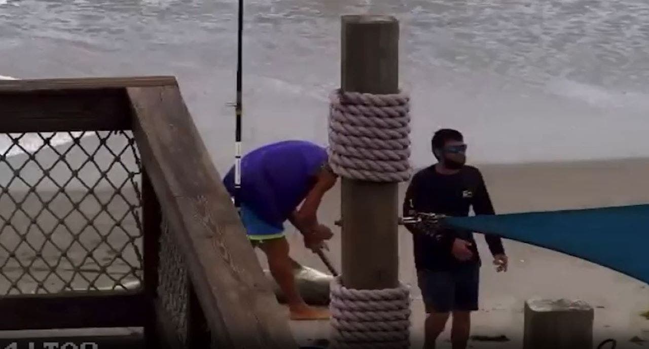 Video shows man who allegedly beat shark with a hammer, dragged it across Florida beach