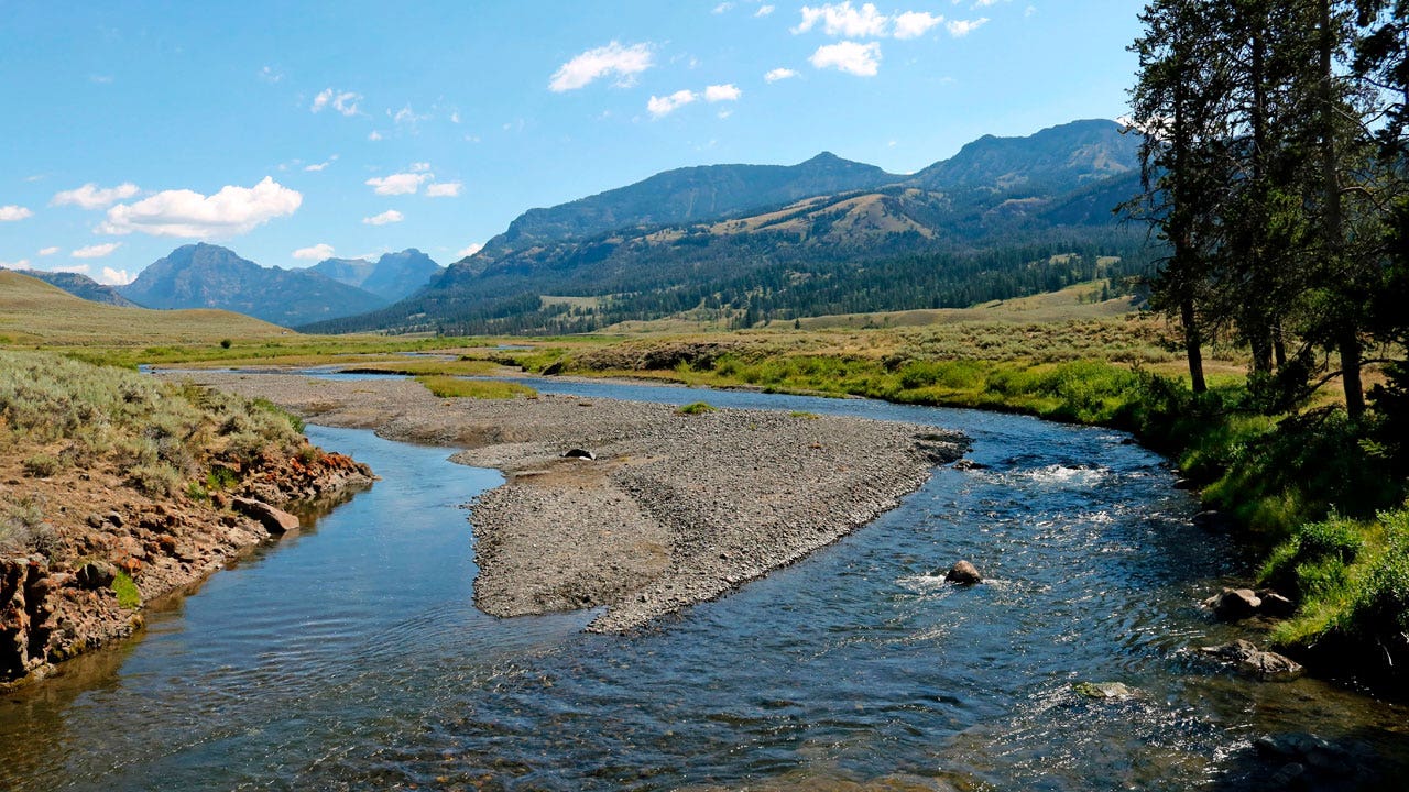 Yellowstone National Park: Things to do and see, where to stay, and more