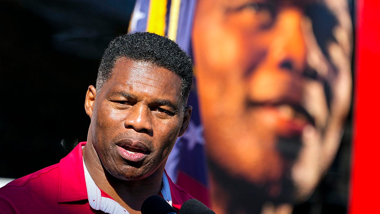 Republican lieutenant governor deems Herschel Walker 'one of