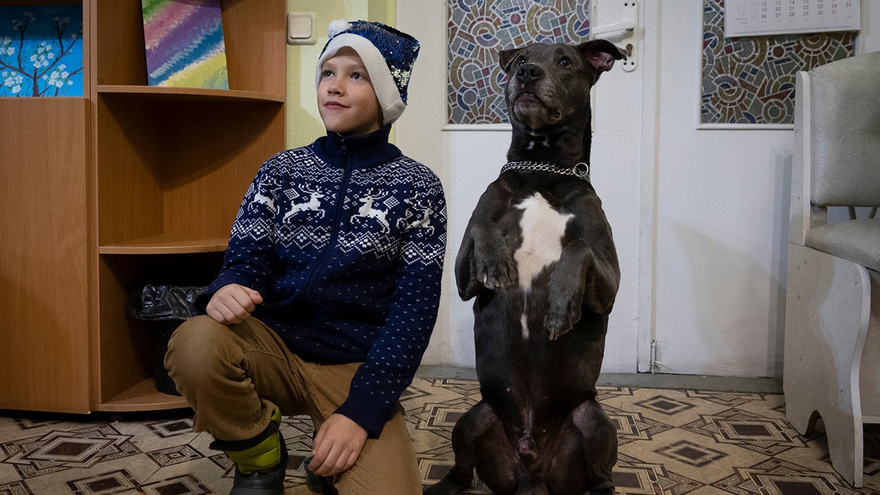Ukraine deploys therapy dog services for kids experiencing war trauma to reduce stress, anxiety