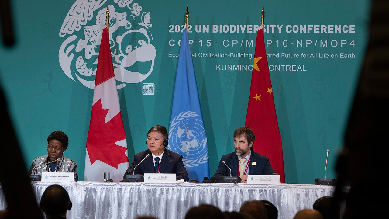 Acuerdo Histórico Sobre Biodiversidad Alcanzado En Conferencia De La ...