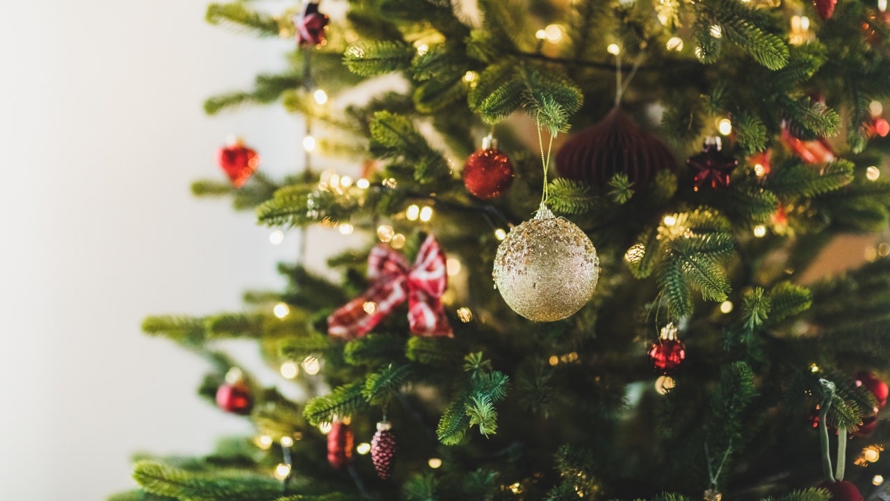 ‘Eco-conscious’ families should eat their Christmas trees, urges reporter