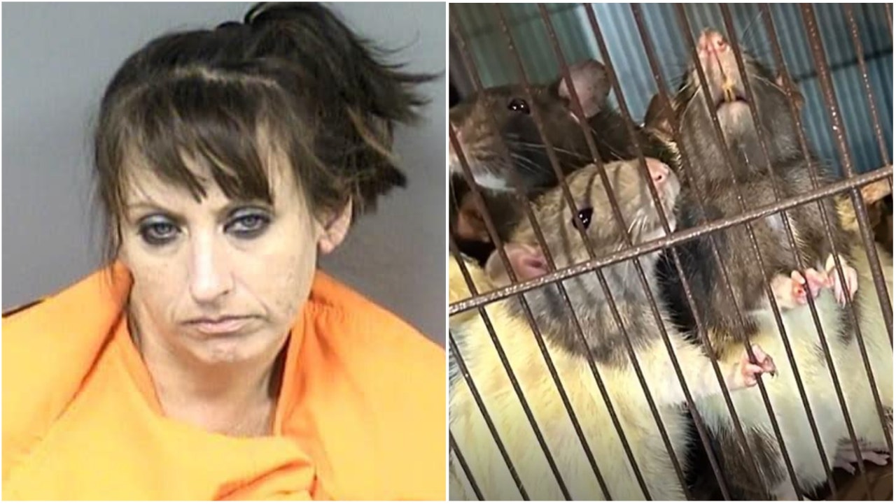 Florida woman arrested after cops find bug infestation, feces, trash, 300 loose rodents, child in her home