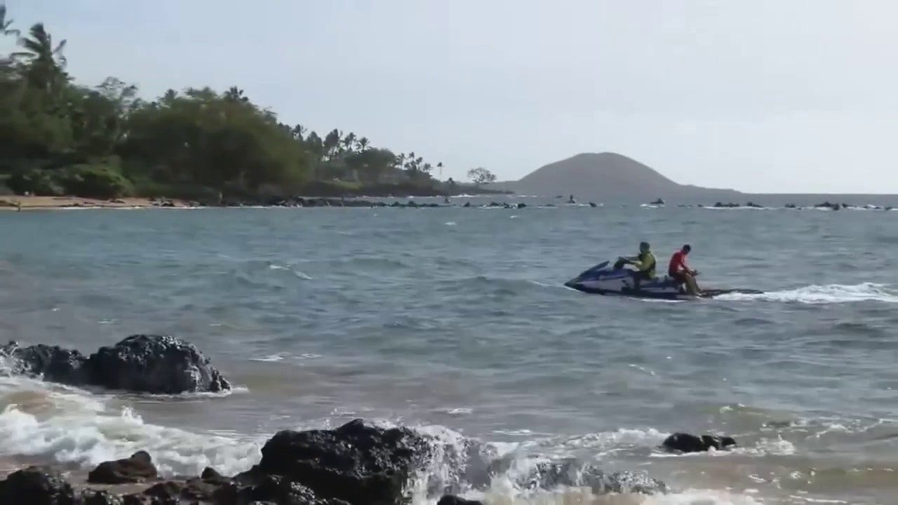 Woman snorkeling in Hawaii likely eaten by 'aggressive' shark with 'something red' around gills: officials