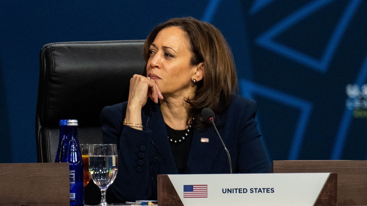 4 million border encounters since Kamala Harris assigned to address 'root cause' of problem