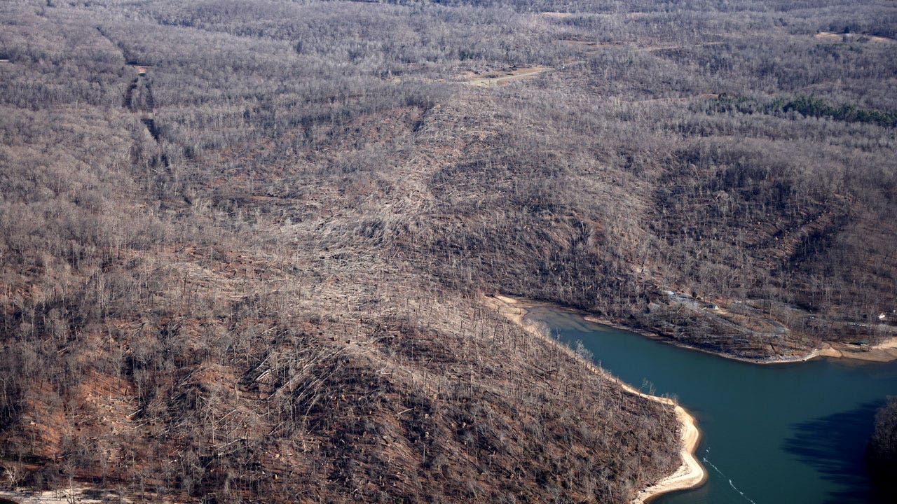 KY's Land Between the Lakes adds areas for archery deer hunting Fox News